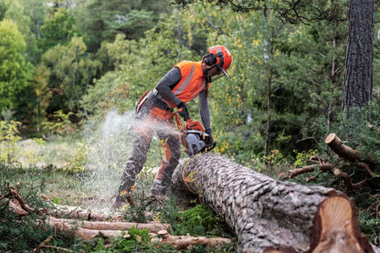Husqvarna 550 XP Professional Petrol Chainsaw 50cc Wood Cutting Saw
